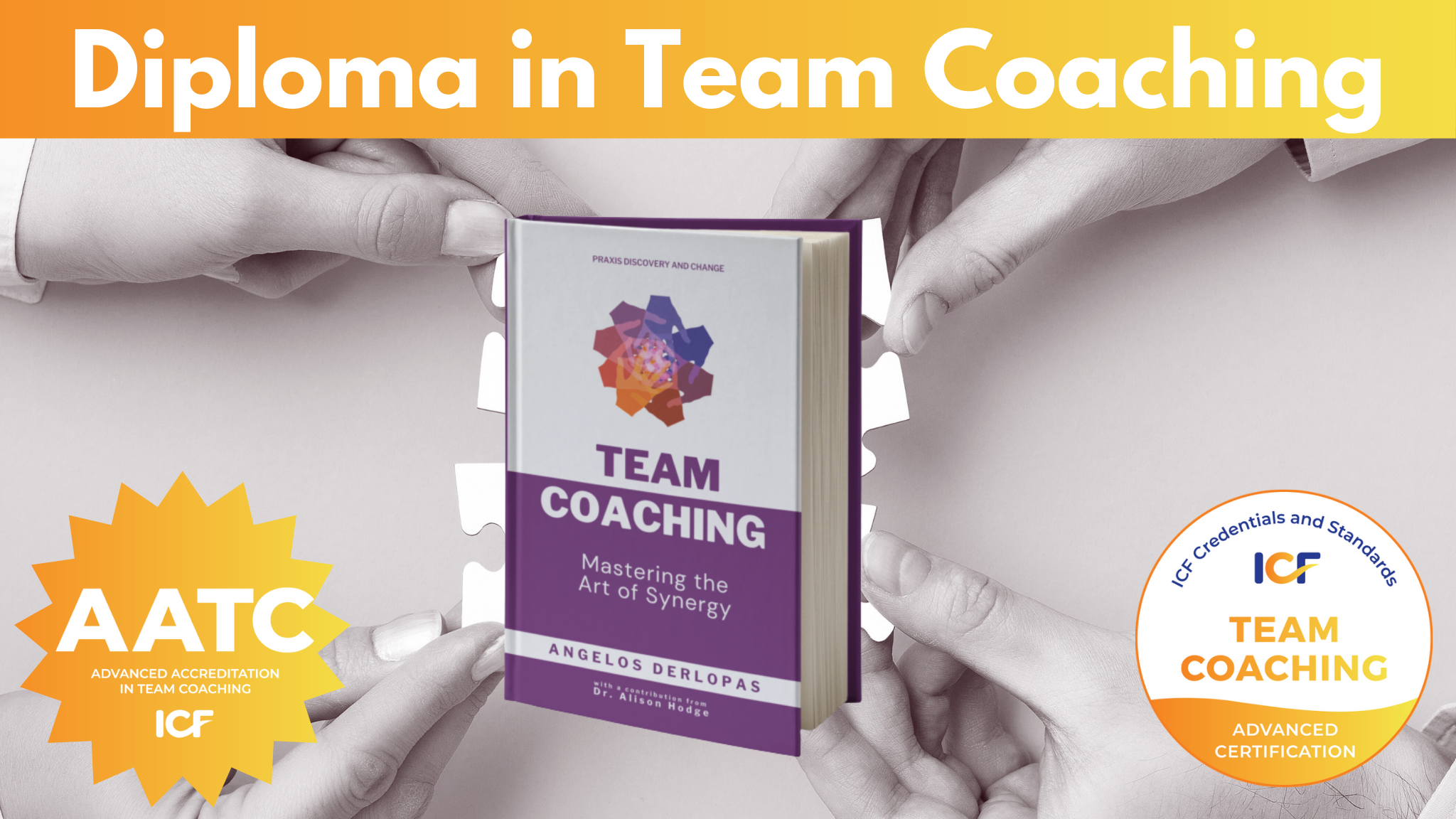 Diploma in Team Coaching 3